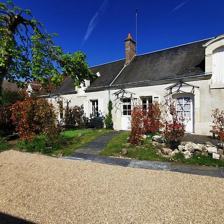 쇼몽쉬르루아르 La Jacquiere B&B 외부 사진