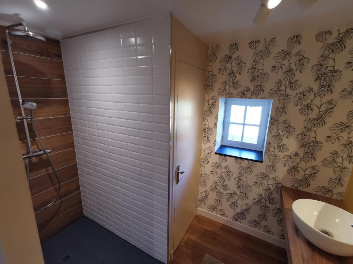 쇼몽쉬르루아르 La Jacquiere B&B 외부 사진