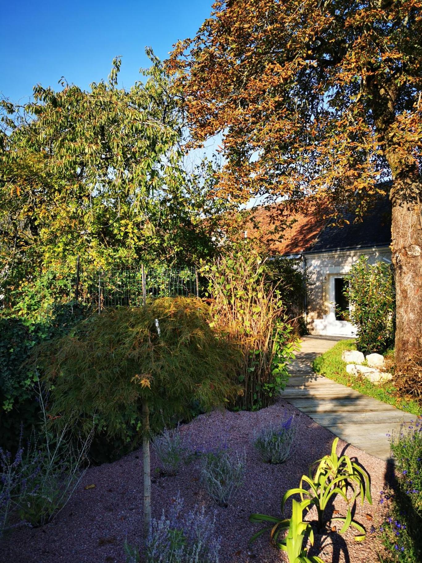 쇼몽쉬르루아르 La Jacquiere B&B 외부 사진